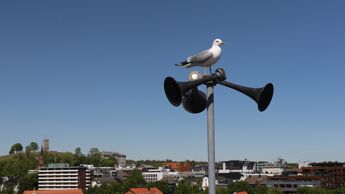 Tre tyfoner på en stolpe mot blå himmel. Måke sitter på toppen.