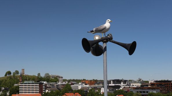 Tre tyfoner på en stolpe mot blå himmel. Måke sitter på toppen.