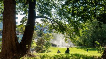 Beierbakken en solfylt dag med store trær på venstre side med greiner som henger over to mennesker som sitter på bakken.