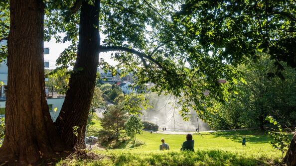 Beierbakken en solfylt dag med store trær på venstre side med greiner som henger over to mennesker som sitter på bakken.