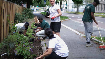 Ungdom rydder og planter.