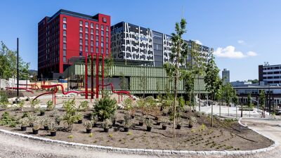 Front bilde av Løren aktivitetsparken og flebrukshallen i en solfylt dag.