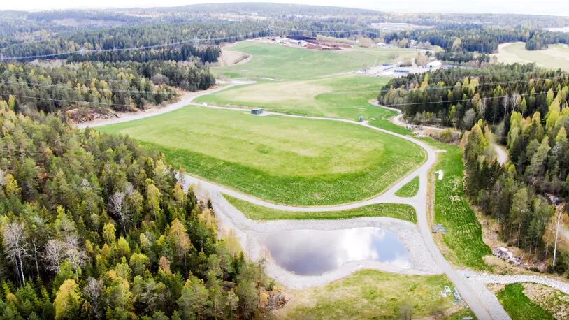 Grønn eng og skog sett fra luften