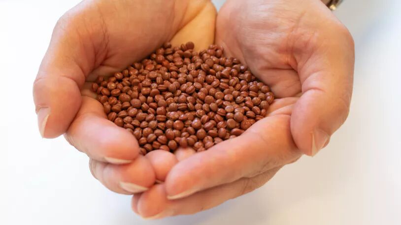 To hender holder små kuler av plast