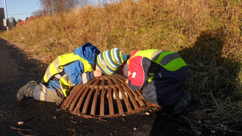 To barn ser oppi kumlokk