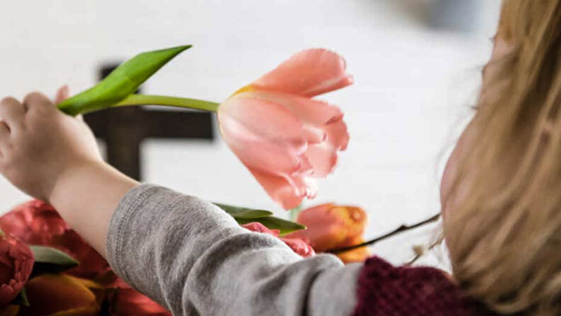 Nærbilde av et barn som tar en rose