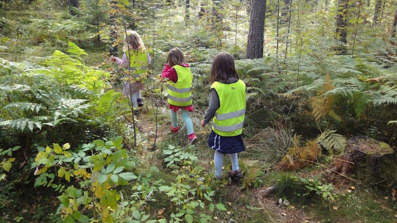 Barn går tur i skogen