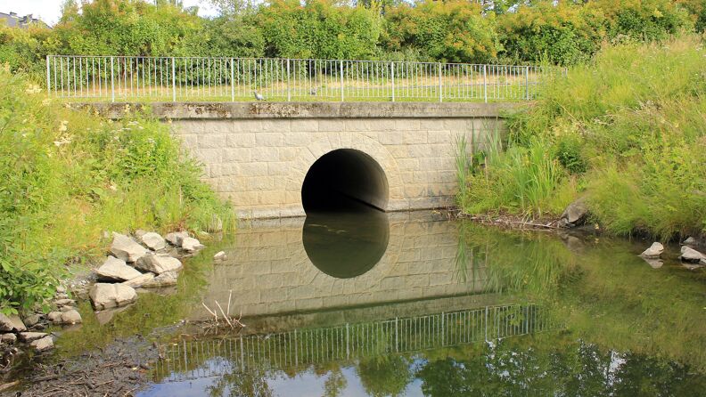 Hovedbilde