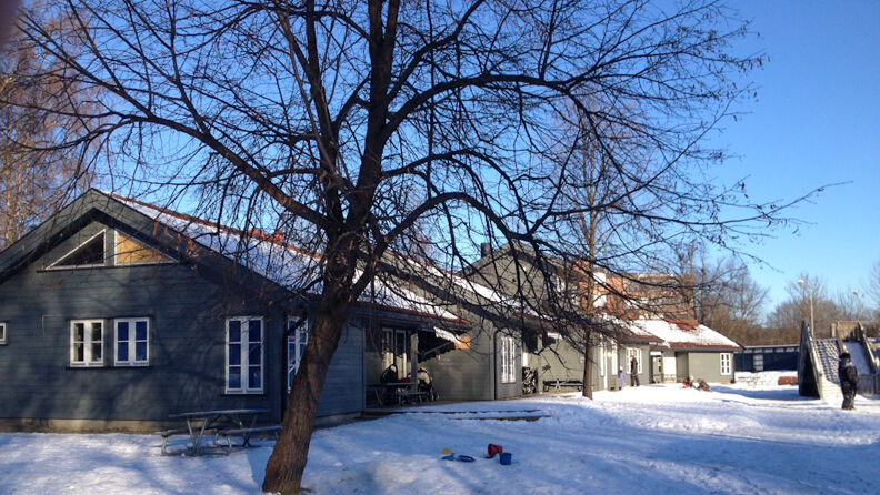 Grønmalt barnehage i vinterlandskap, med tre framfor