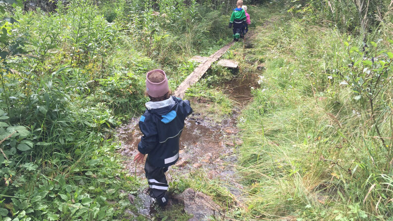 Barn går på tur i skogen over en planke lagt over en bekk