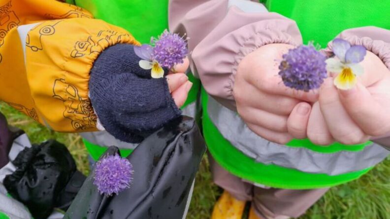 bilder av blomster i hender