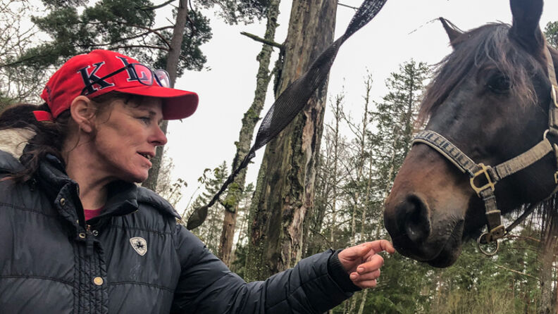 Person og hest