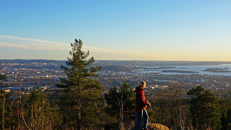 Utsikt ned mot Oslo, fra Vettakollen