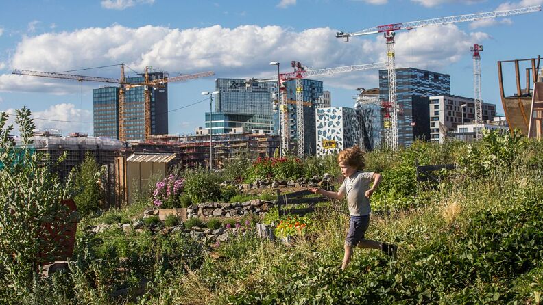 Barn leker i urban hage