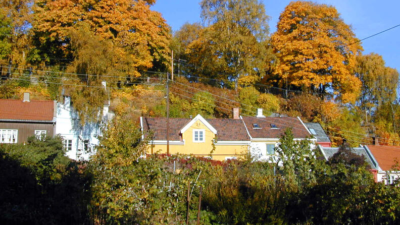 Bilde av bygninger