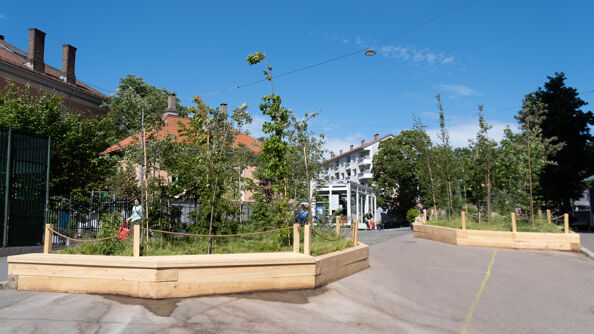 Tøyenskogen i Kolstadgata