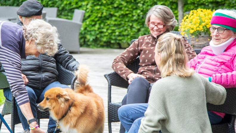 En lysebrun og mellomstor hund hilser på fem personer som står og sitter ute i hagen.