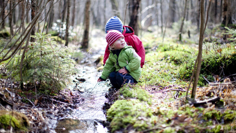 Barn sitter ved en bekk i skogen.