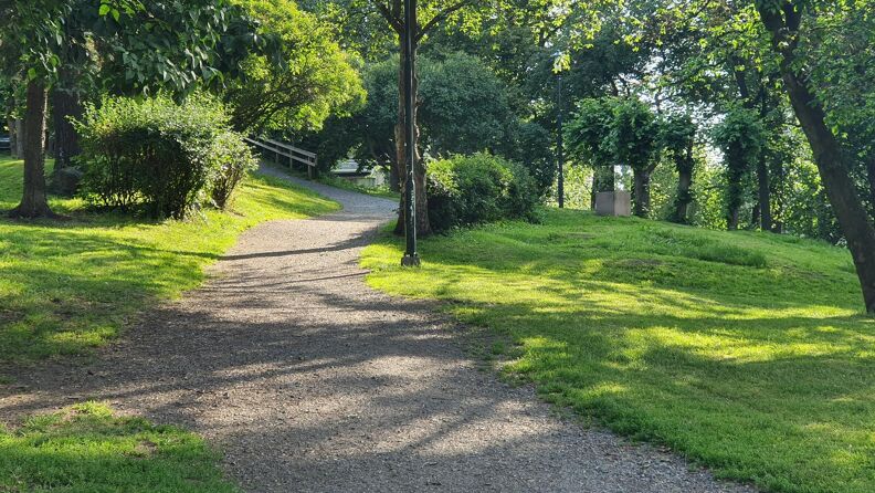 Bilde av en park