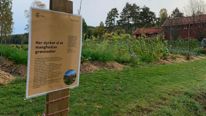 Skilt med teksten "her dyrker vi et mangfold av grønnsaker", og en grønnsakshage i bakgrunnen.