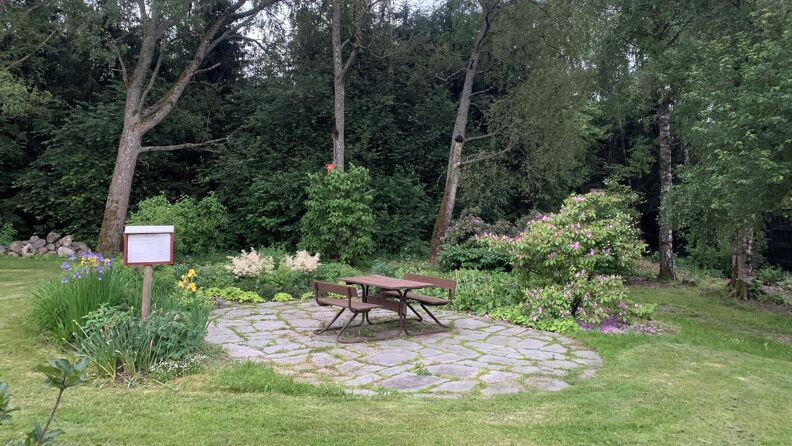 Benken ved utkanten av skogen bak gården.