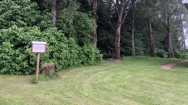 Skogen bak gården er frodig og grønn