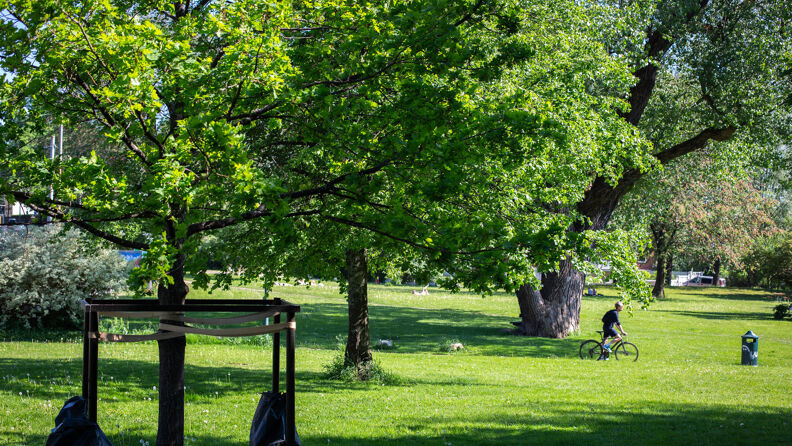 Oversiktsbilde over Skarpsnoparken