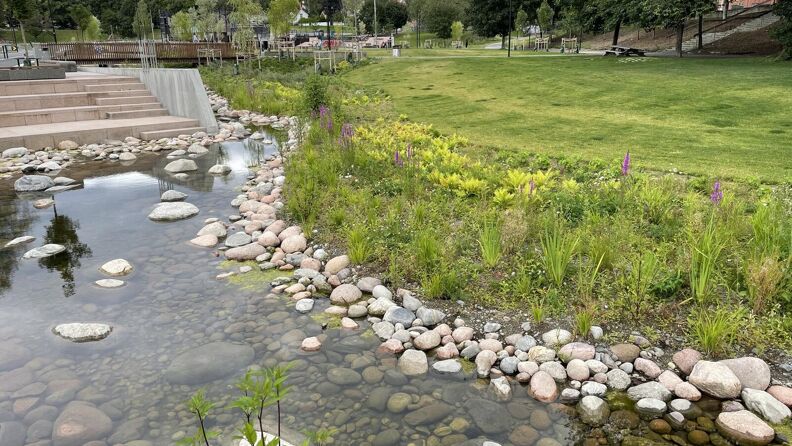 Friområde med bekk og gressplen ved Hovinbekken