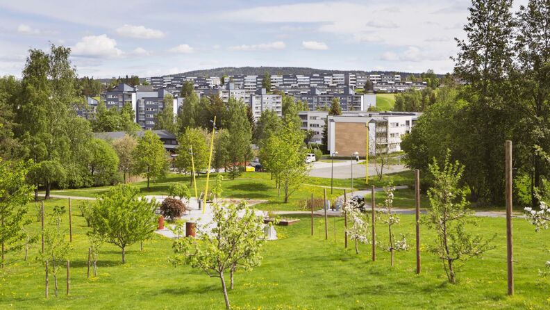 Verdensparken – Bilde av en grønn park med trær og boligblokker i bakgrunnen 