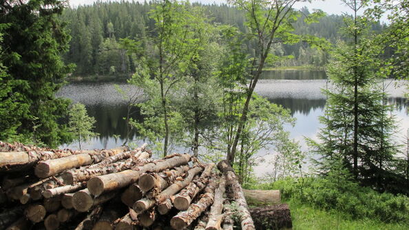 Utsikt til Skjennungsvannet Utsikt til Skjennungsvannet