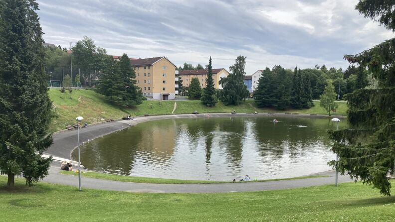 Årvolldammen med gressplen, trær, blokker og benker rundt.