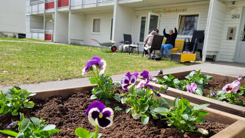 Uteområde med blomsterkasse.