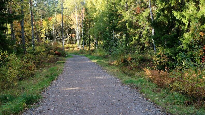 A gravel road in the forest at Lillomarka. It is sunny, but the trees cast the road in a shadow. A sign shows this road is for walking and biking.