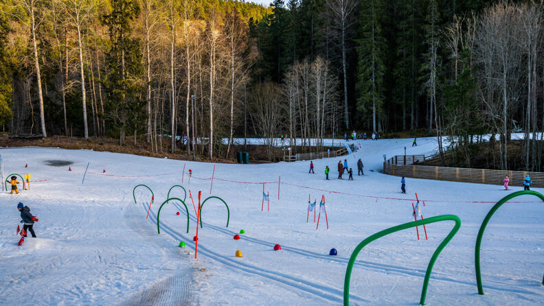 Ski play area in the woods at Skullerud. There's just enough snow on the ground. Kids are playing on skiis, and the sun is low.