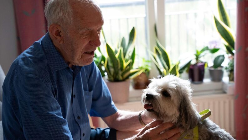 En beboer sitter i lenestolen sin med en hund på fanget. Han har besøk av en besøkshund.