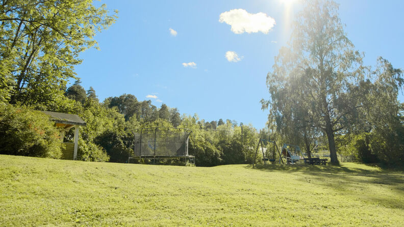 Hage med trampoline på en solskinnsdag