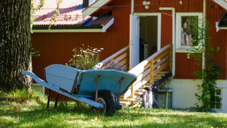 Gammeldags trillebår foran et rødt hus
