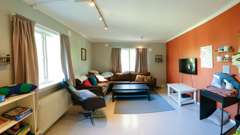 Tv-stue med sofa og lenestol
