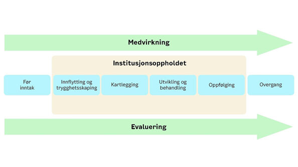 Illustrasjon viser institusjonsforløpet