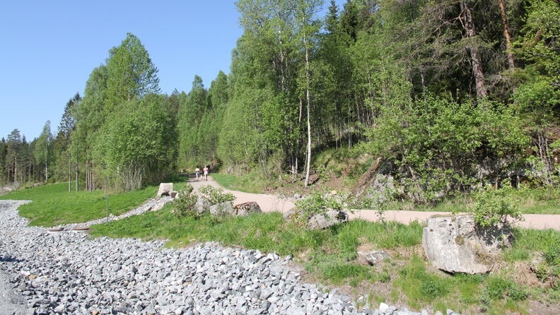 To personer og en hund jogger på en sti som går inn i skogen ved Grønmo nedlagte deponi.