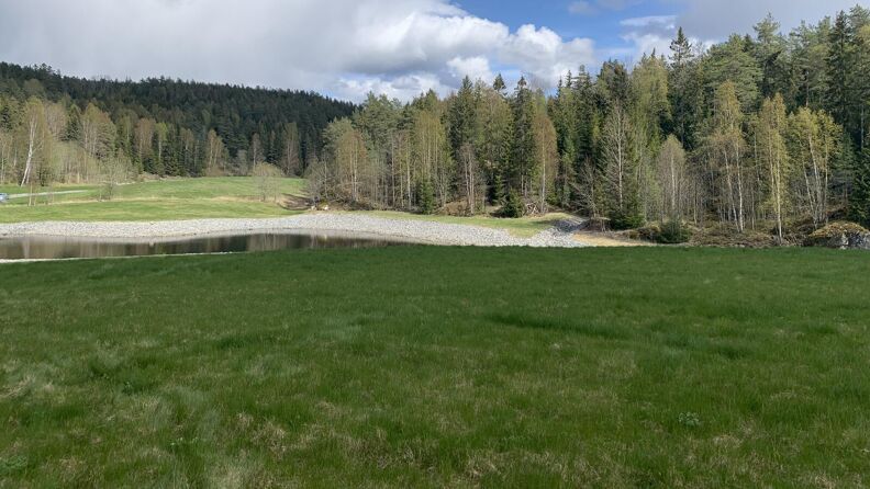 Vannet i Grønmo nedlagte deponi ser nesten svart ut. Bak vannet ligger Østmarkas skoger. En sti går langs siden av vannet og inn i marka.