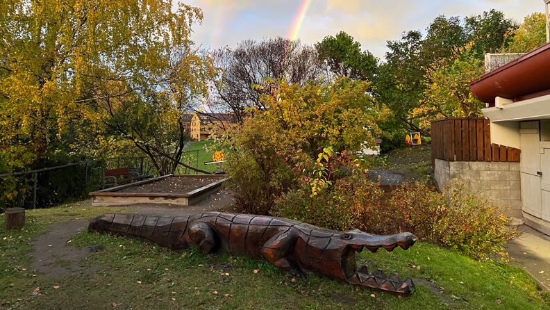 Stor lekekrokodille i tre på uteområdet med regnbue i bakgrunnen