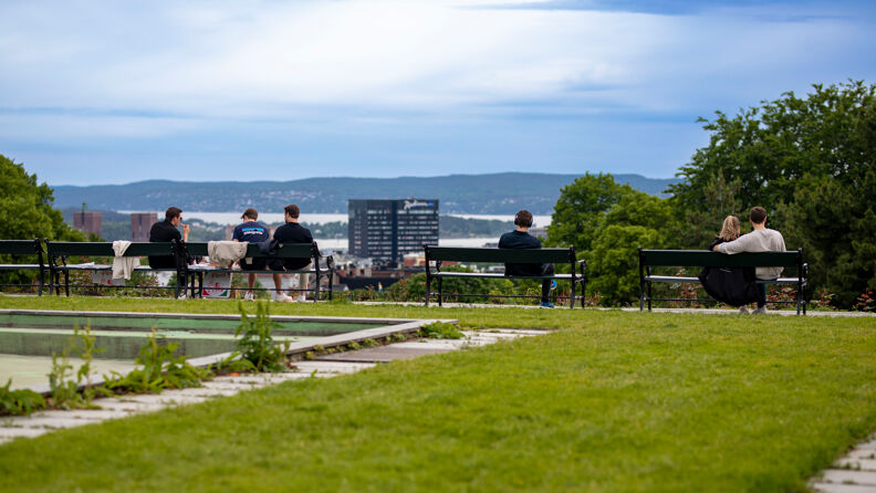 SAS-hotellet på Holbergs plass og Rådhuset er godt synlige i landskapet fra St. Hanshaugen.