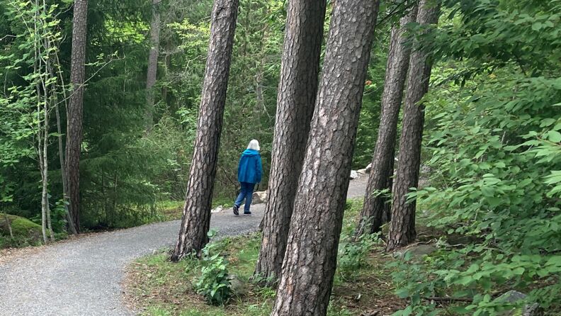 Utendørs, planter, trær, turvei, skogområde. Dame går på tur på ny turvei ved Mekanikerveien og Kranveien.  
