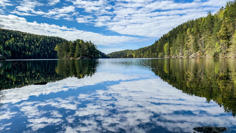Lutvann i Østmarka. Himmelen speiler seg i vannet.