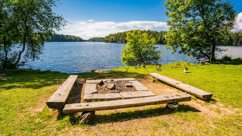 Godkjent bålplass med benker rundt på Bråten badeplass ved Nøklevann.