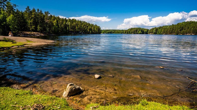 Badeplass på Nøklevann. Svaberg og skog i bakgrunnen.