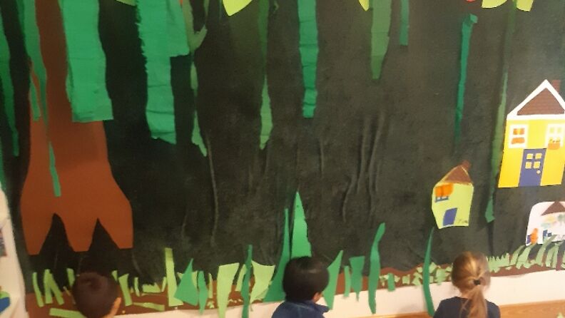 forest