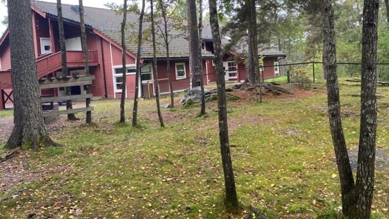 Bilde av barnehagen og skog