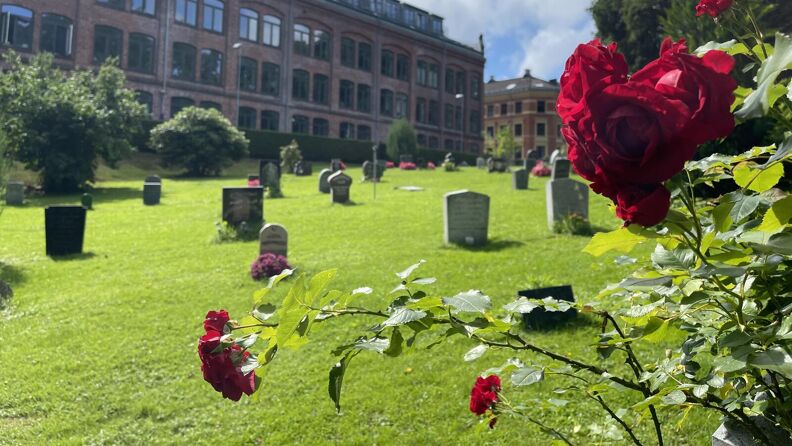 Gamlebyen gravlund